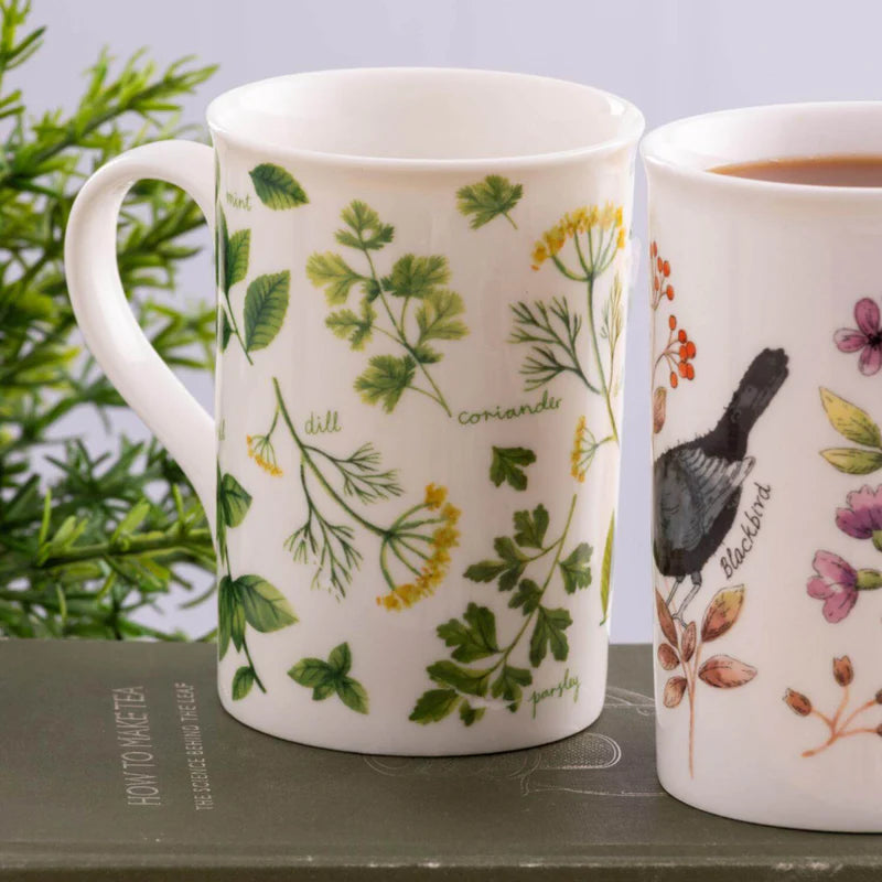 Taza de eneldo de hierbas de Price & Kensington Garden