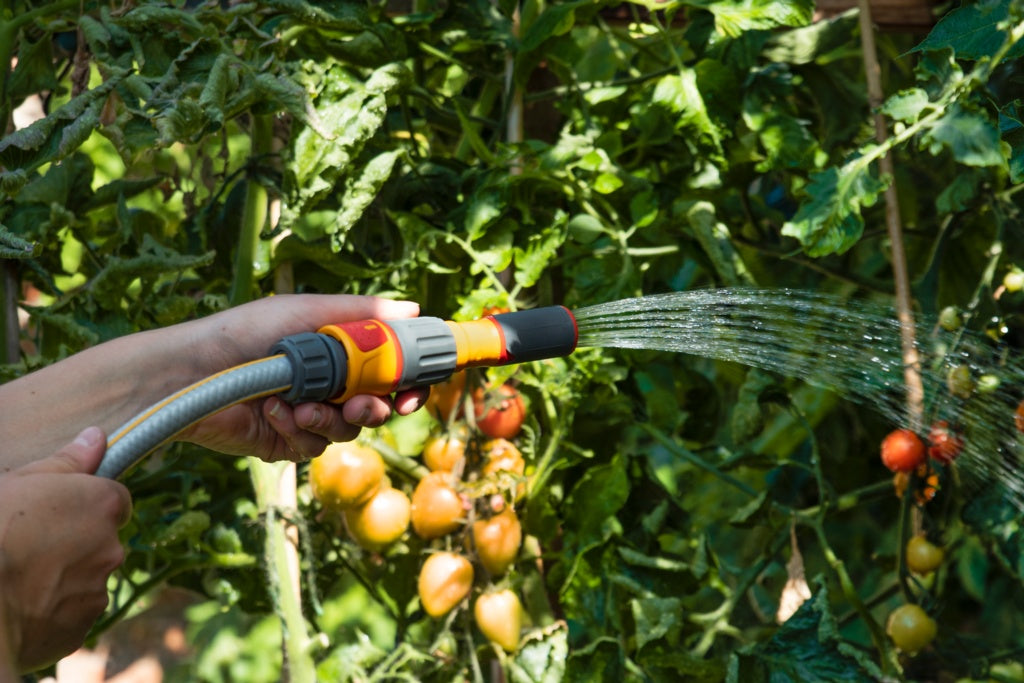 Hozelock 3 in 1 Nozzle Plus