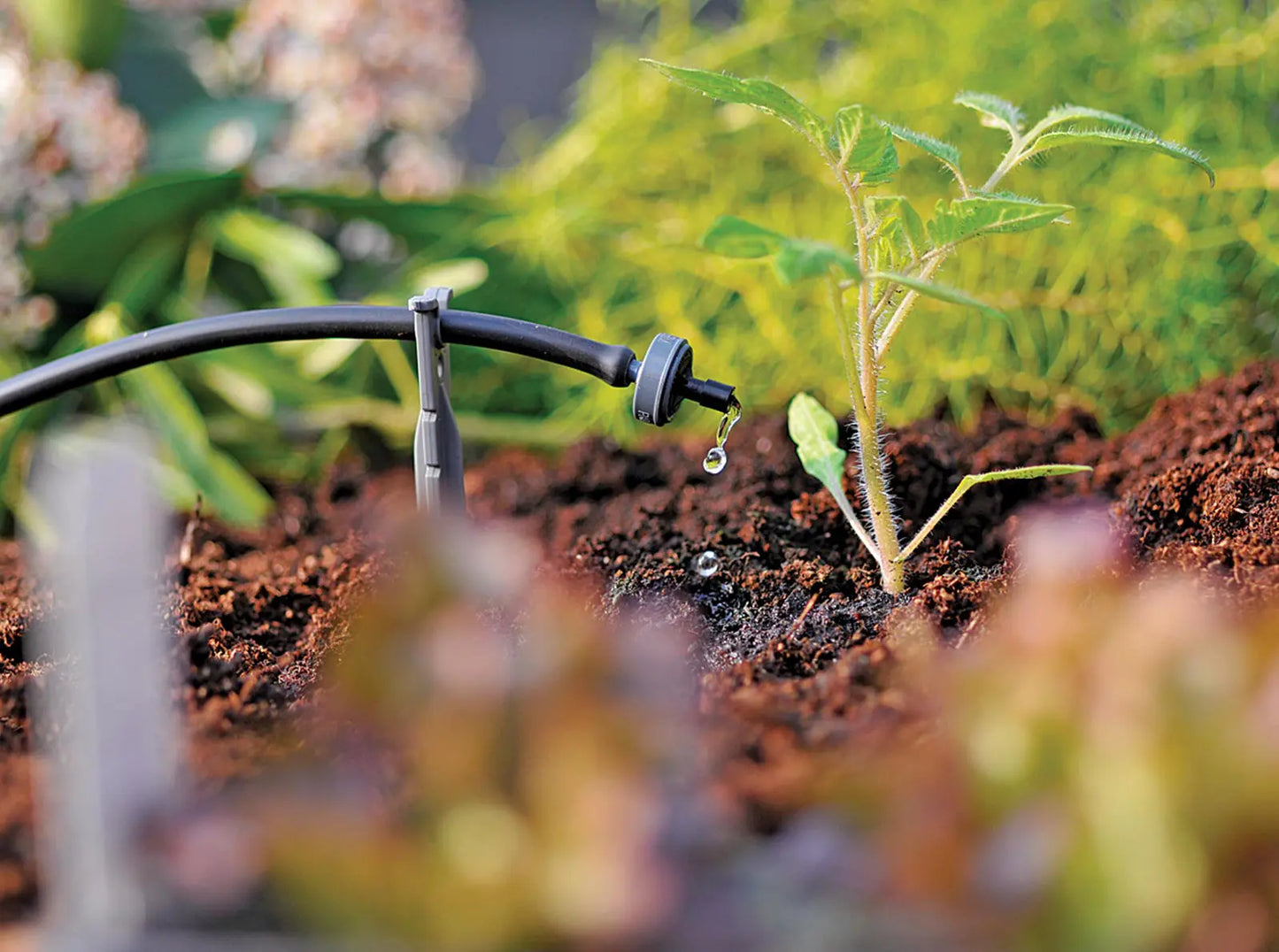 Hozelock 4 LPH End of Line Pressure Compensating Dripper