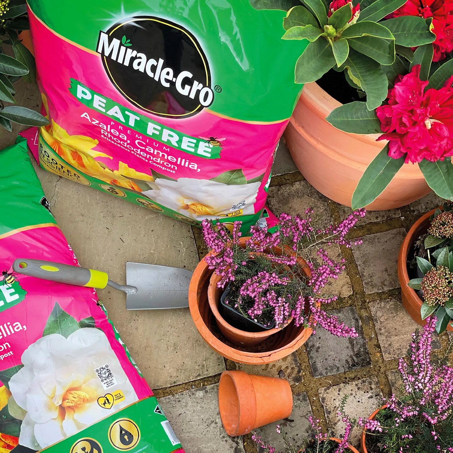 Miracle-Gro® Ericaceous Peat Free Compost