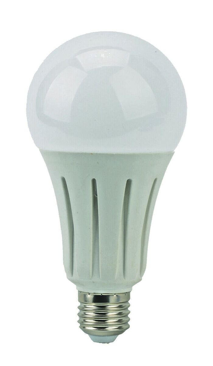Lyveco ES LED 240v A80 (Gls) Boxed 2452 Lumen