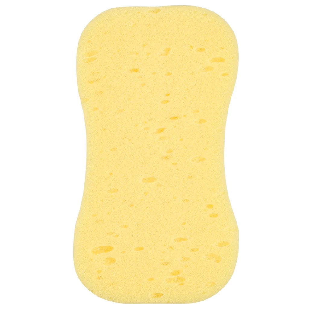 Harris Essentials Sponge
