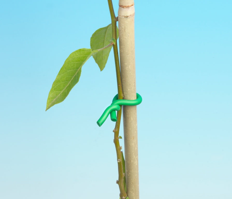 Lazo Giro Suave Ambassador 5m