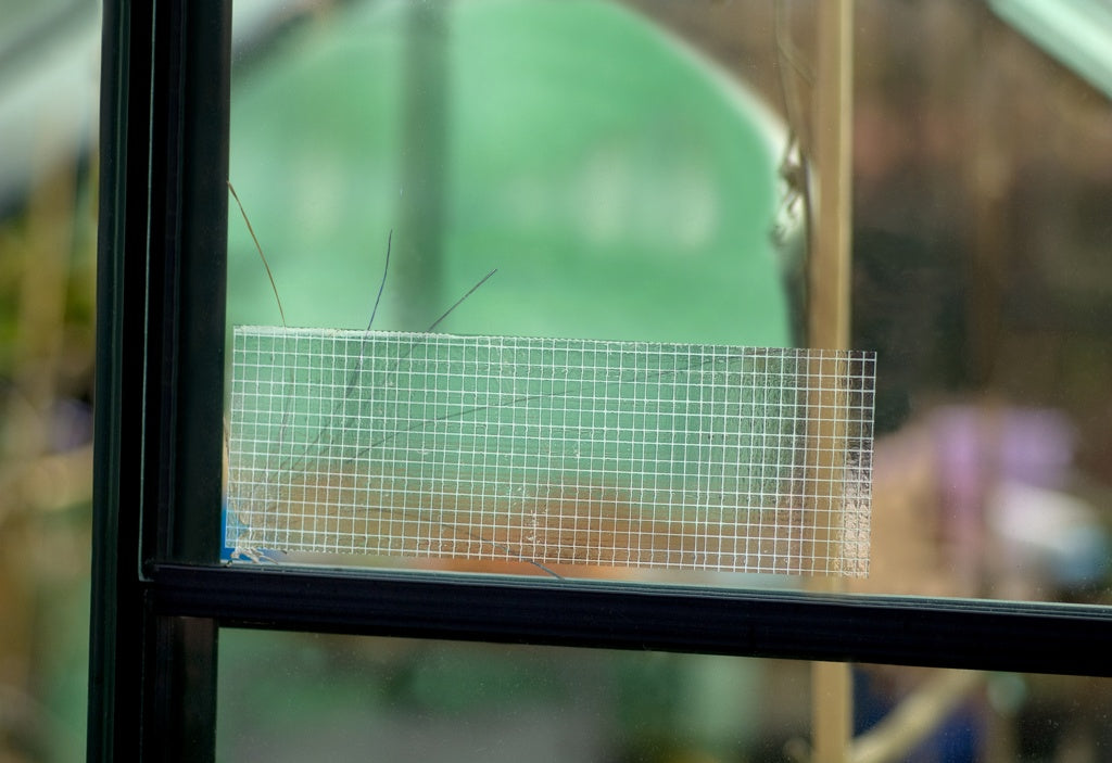 Duck Tape Ultimate Duck Tape