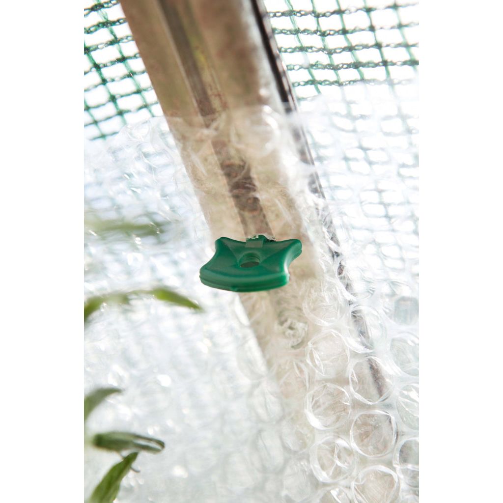 Embajador Alliplugs originales