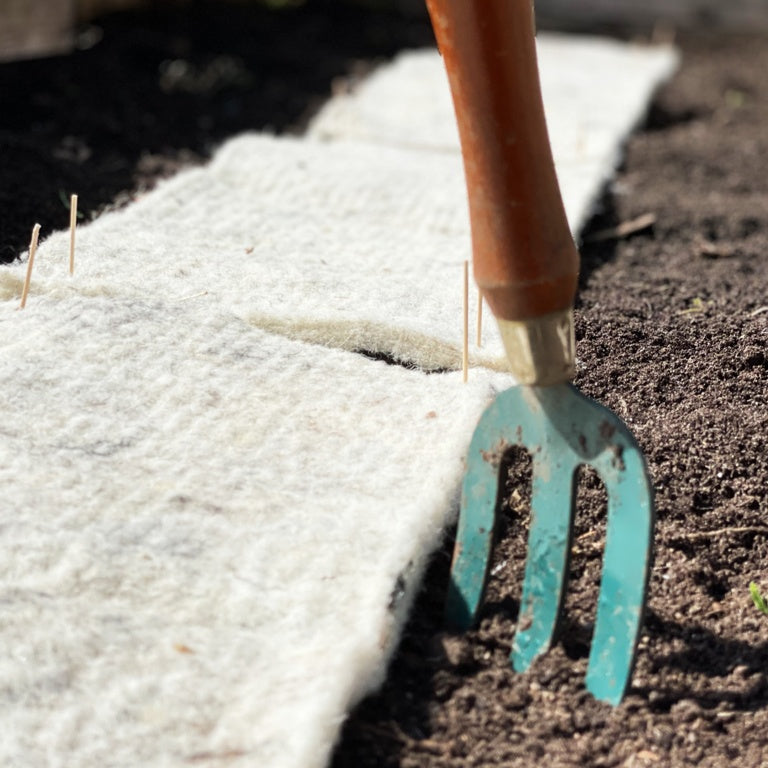 Hortiwool Starter Wool Pad