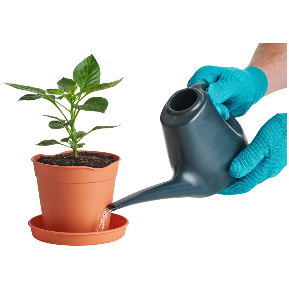 Clever Pots Saucers Pack 5