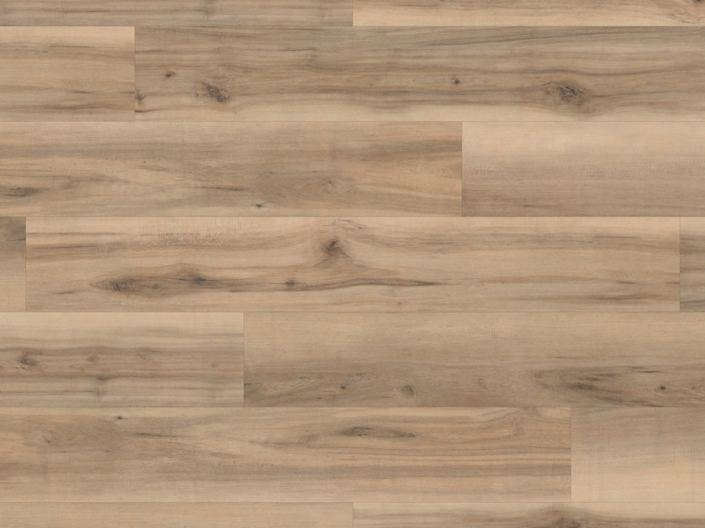 Palio Core Gallina 2.184m2