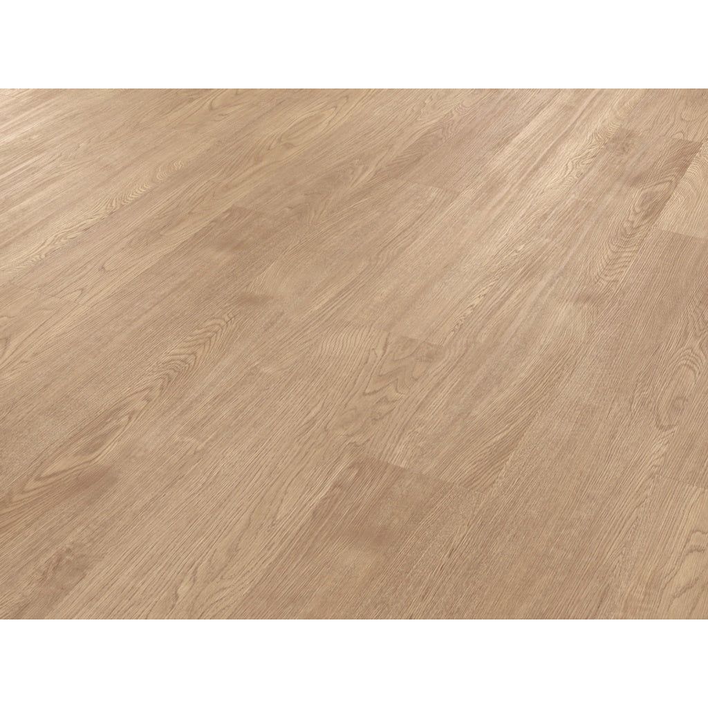 Palio Rigid Tavolara