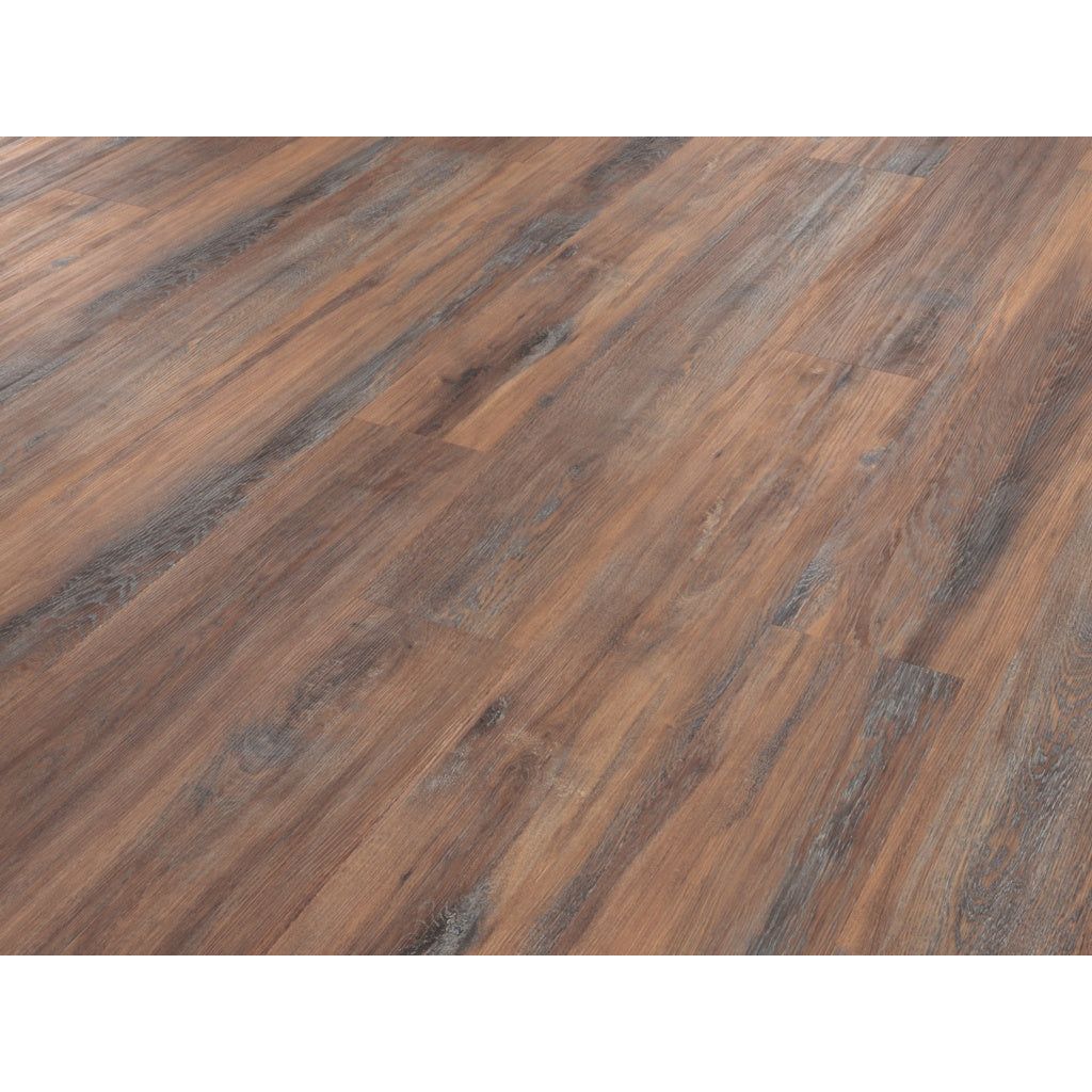 Palio Rigid Sardinia