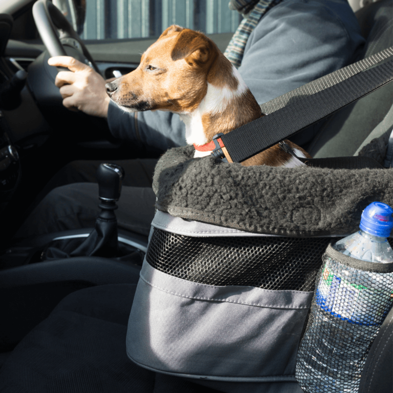 Henry Wag Car Booster Seat