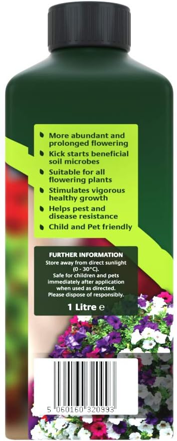 Empathie après le panier de plantes et le patio