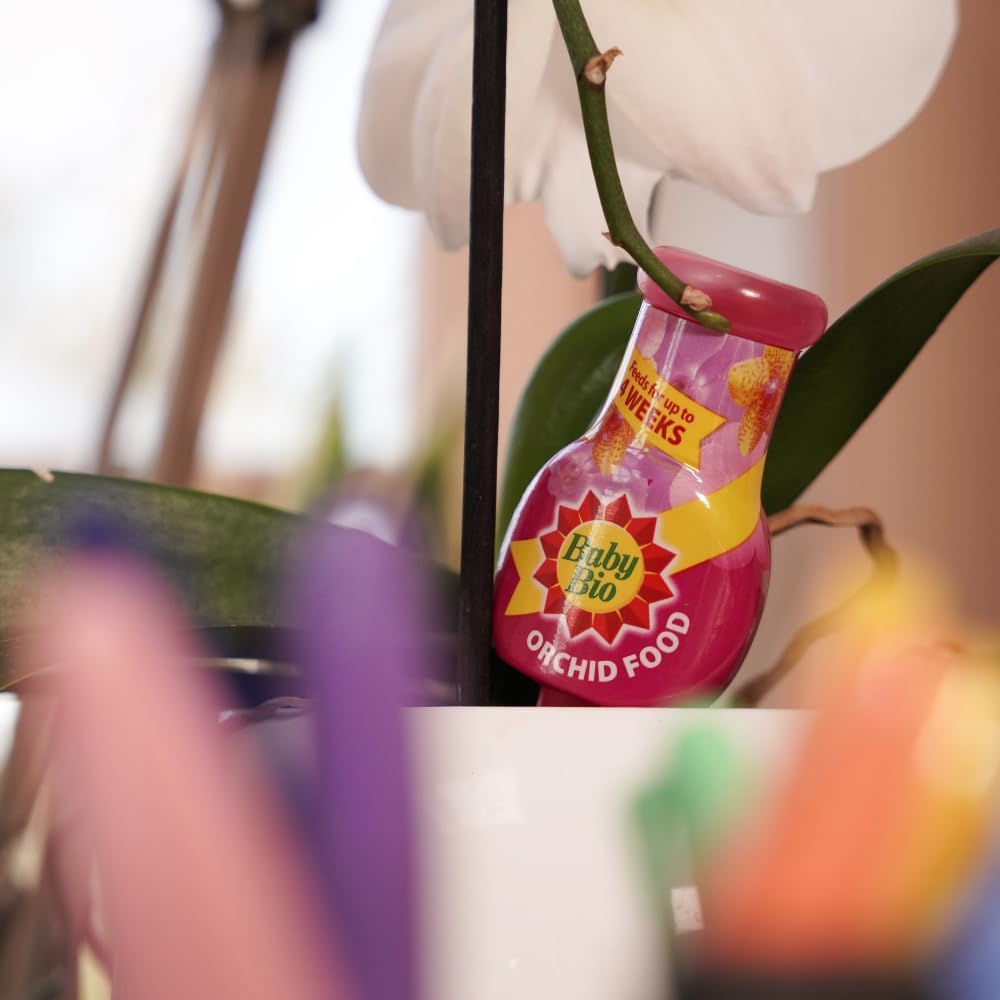 Mangeoires goutte à goutte pour bébé Bio Orchid