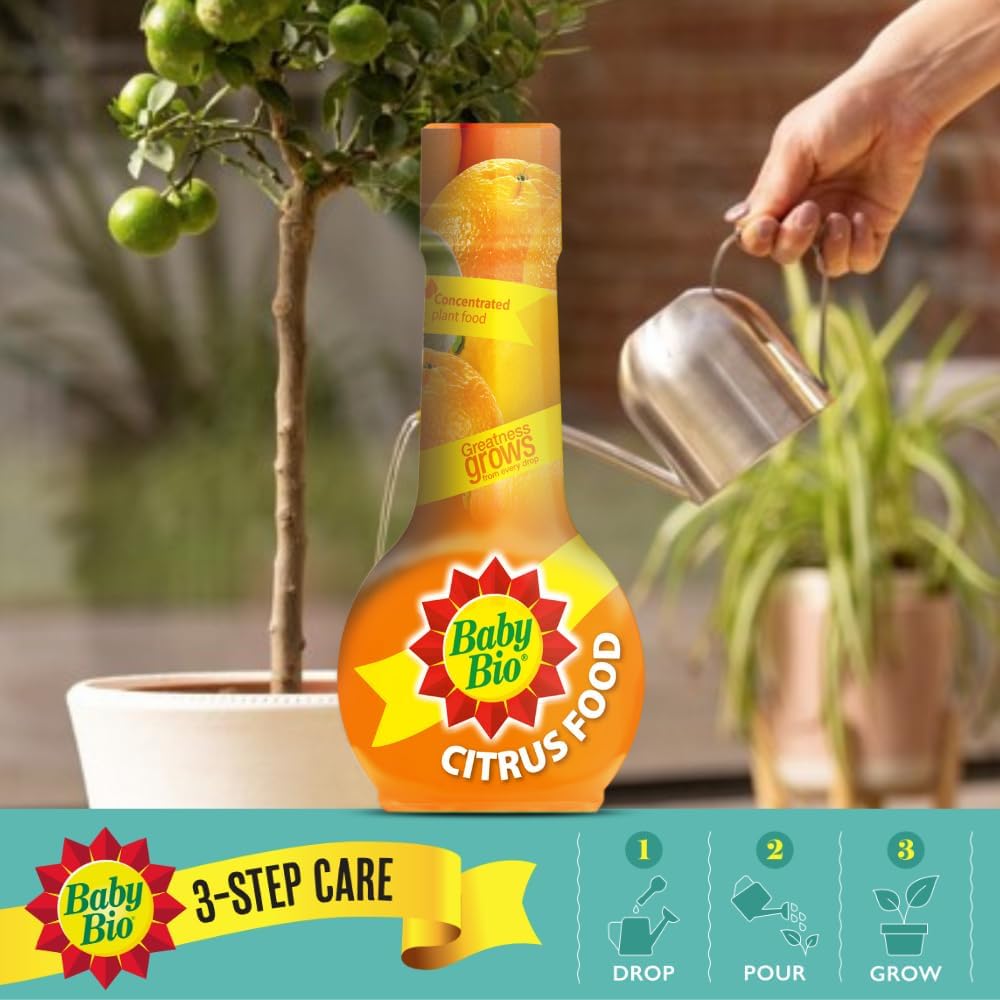 Nourriture aux agrumes bio pour bébé