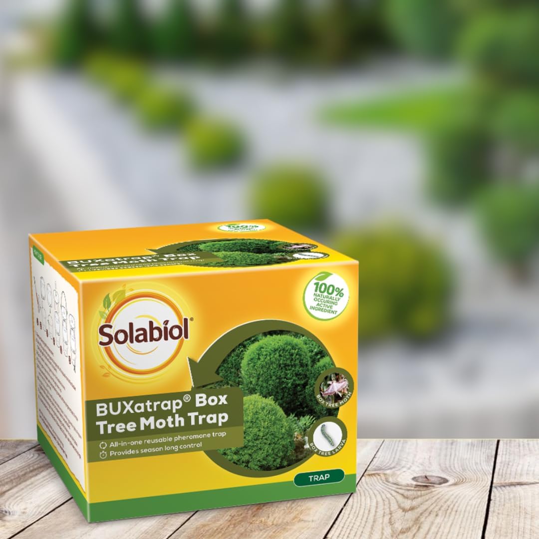 Solabiol Box Tree Moth Trap