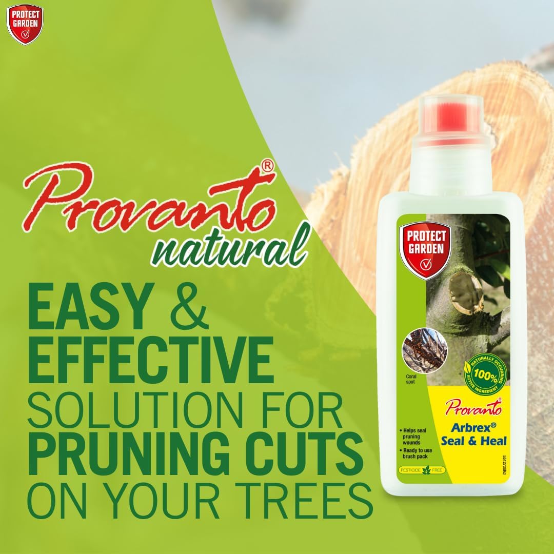 Provanto Arbrex Sello y Curación 300g