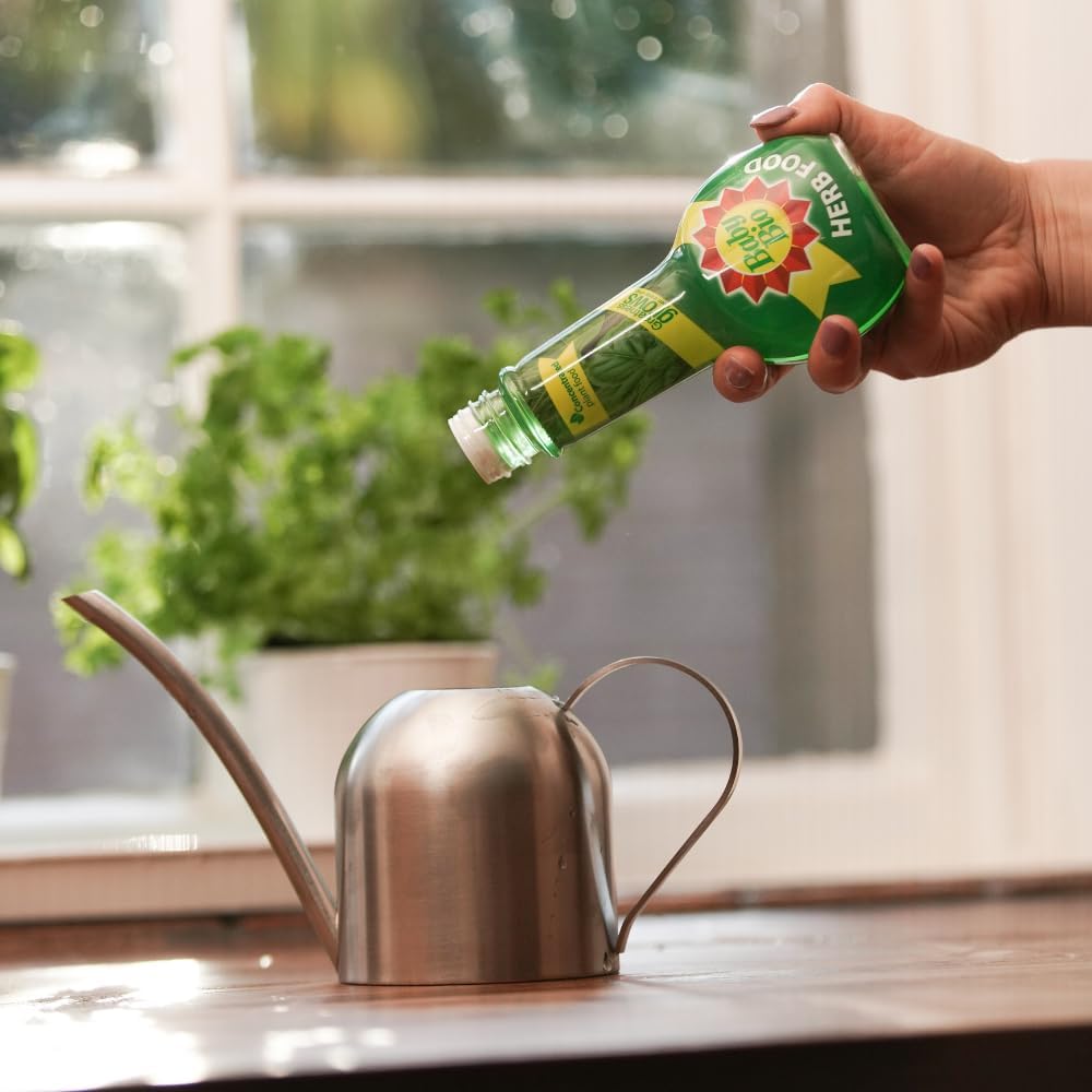 Nourriture aux herbes bio pour bébé