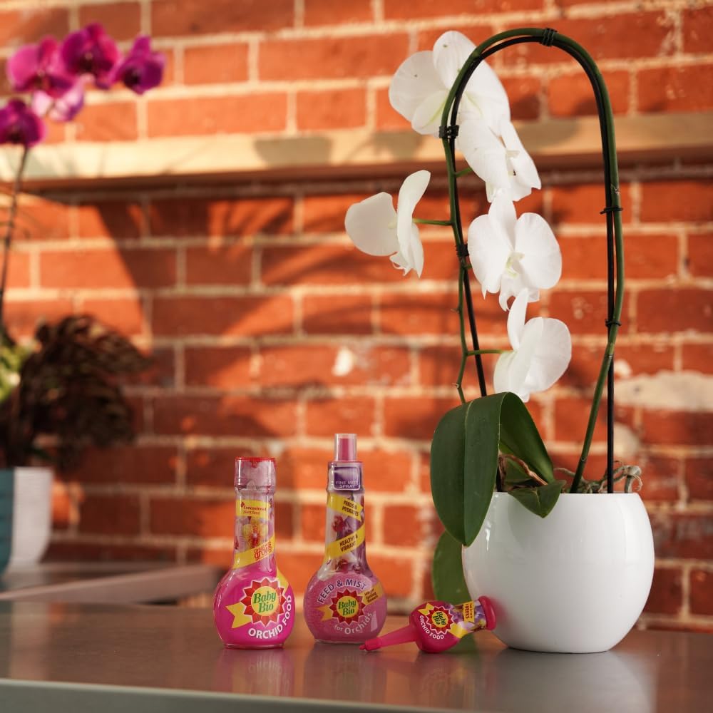 Alimentación y niebla para orquídeas Baby Bio