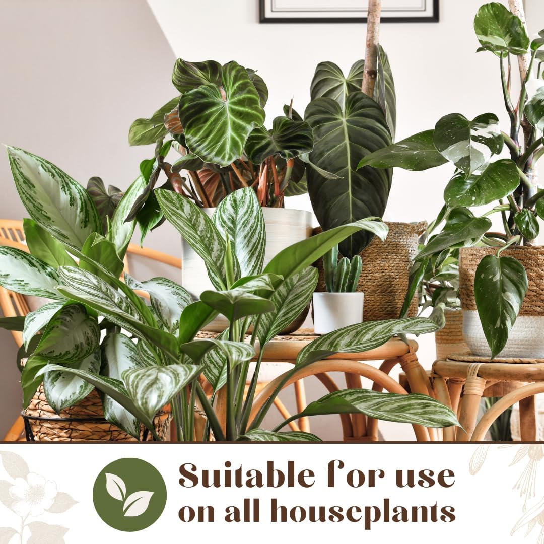 Tueur d'insectes pour plantes d'intérieur Baby Bio Ultra