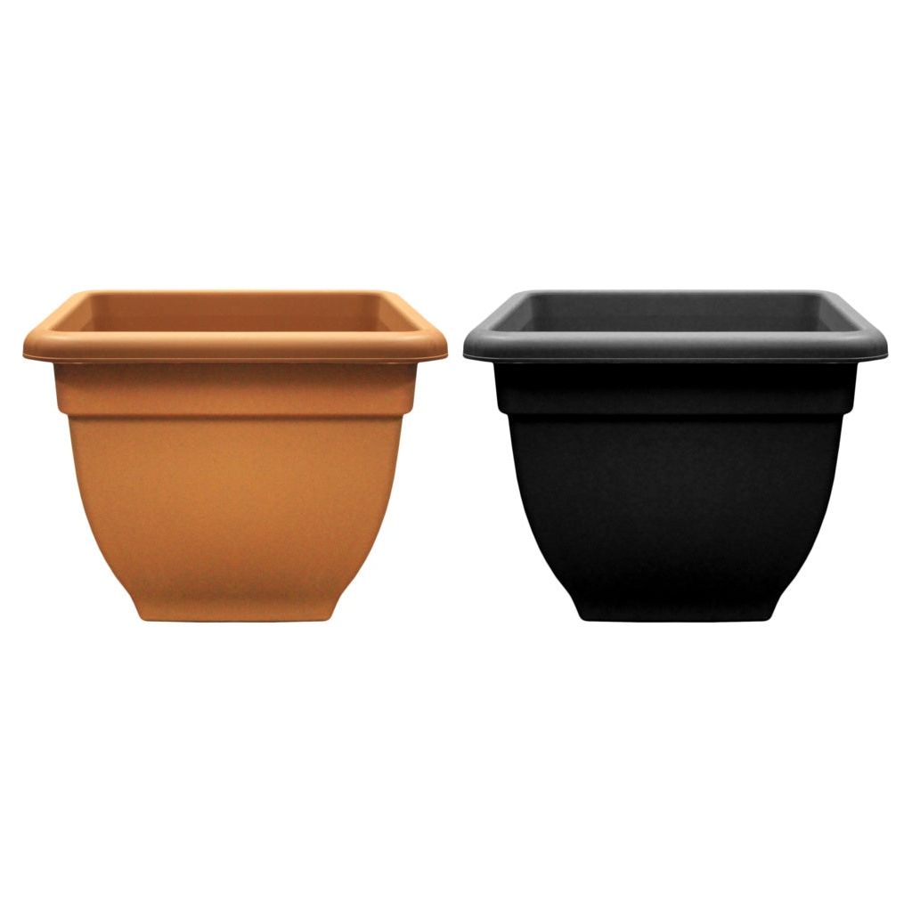 Plaza del campanario de Winchester