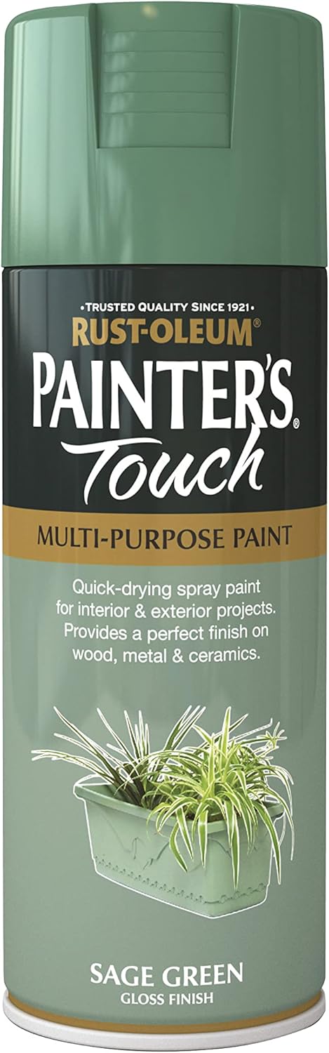 Rustoleum Painter Touch Aerosol Sg/Gls 400ml
