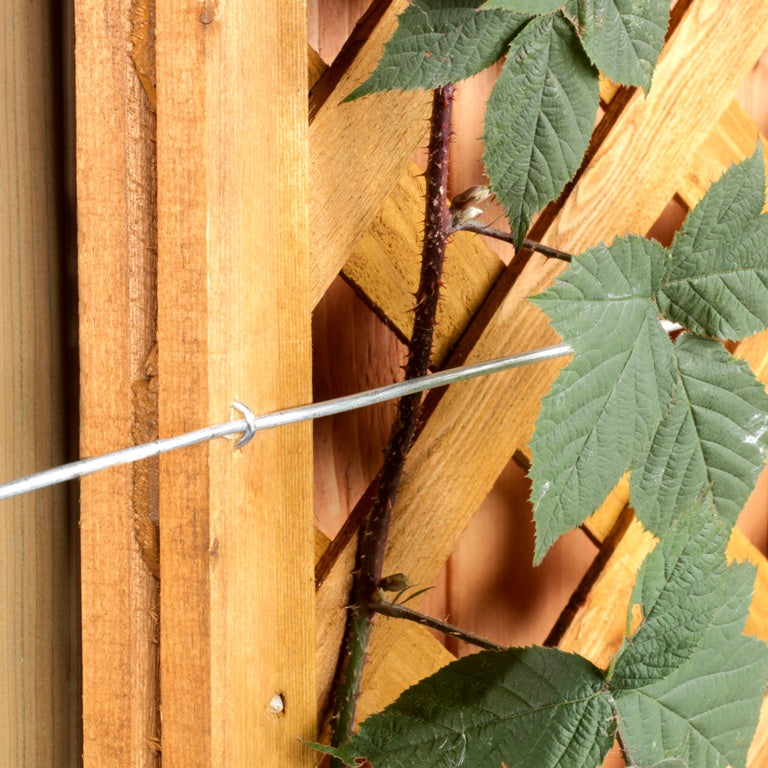 Ambassador Galvanised Wire