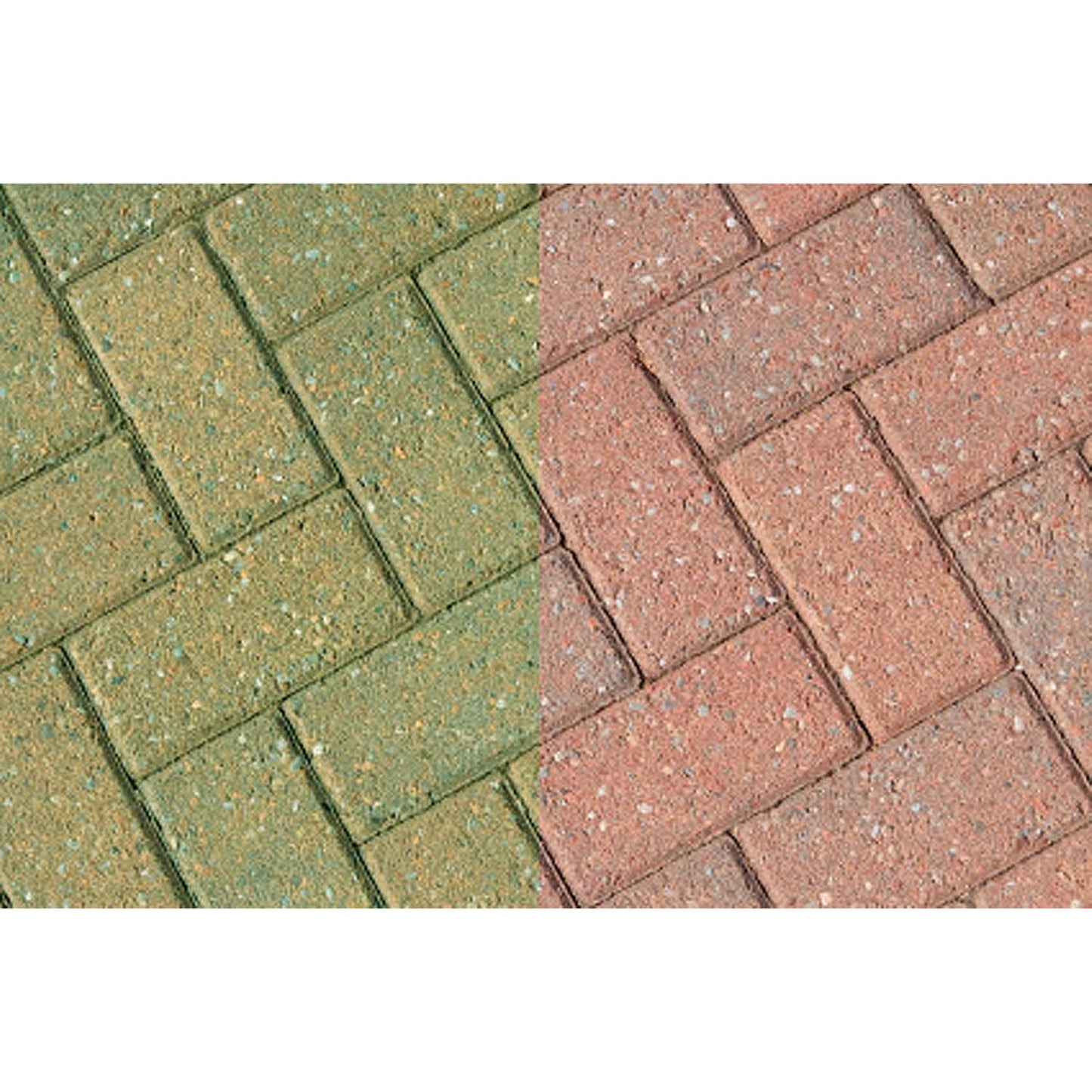 Buysmart Weed Gone 5L - Arrosoir RTU