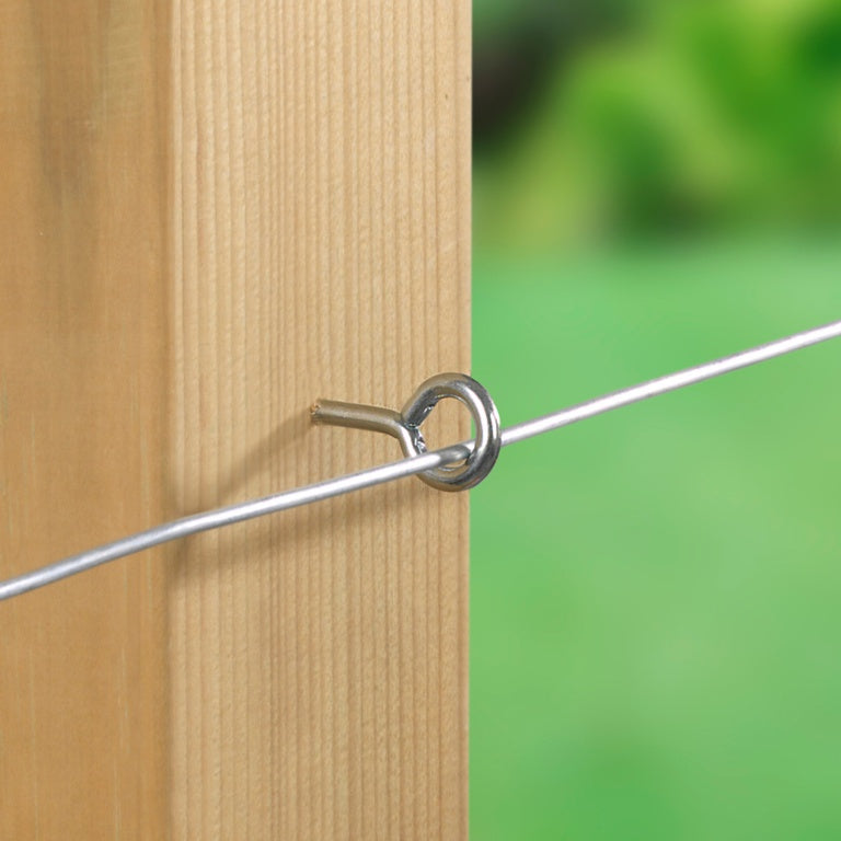 Ambassador Screw In Vine Eyes