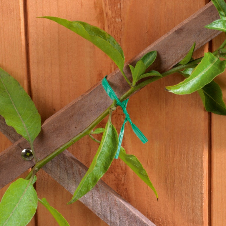 Ambassador Wire Twists 5" Paquete 100