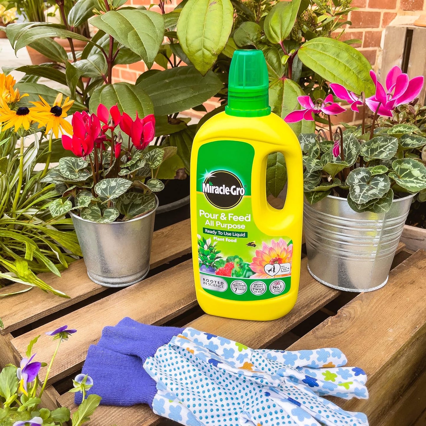 Miracle-Gro® Pour & Feed RTU Display Unit