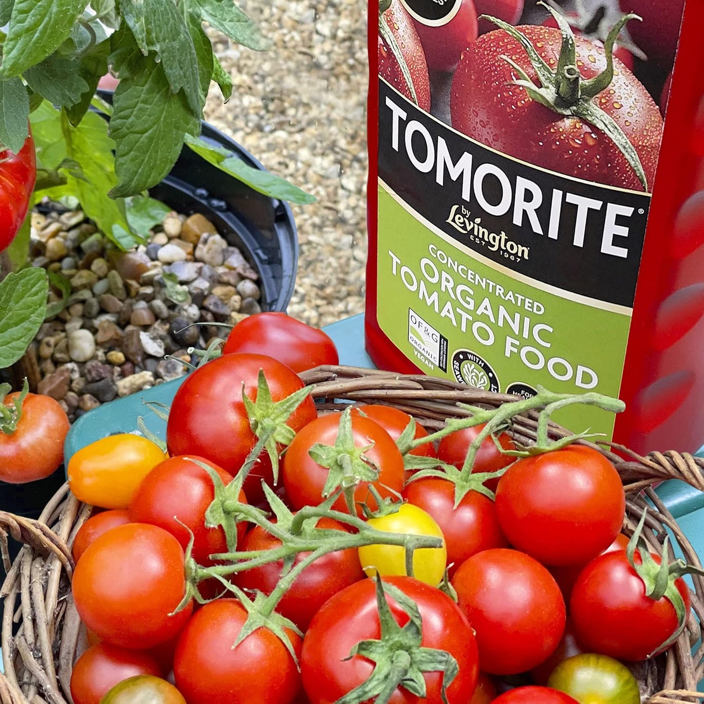 Concentrado de tomorita orgánica Levington