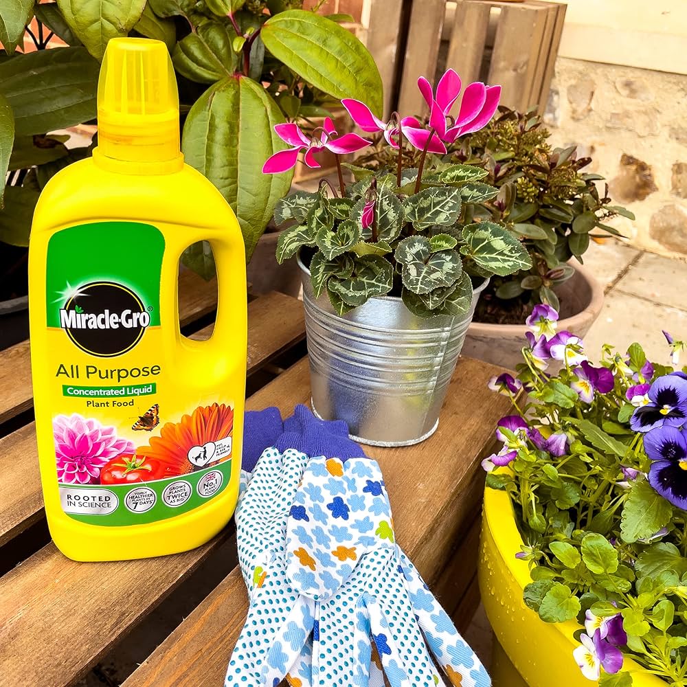 Miracle-Gro® All Purpose Concentrated Plant Food