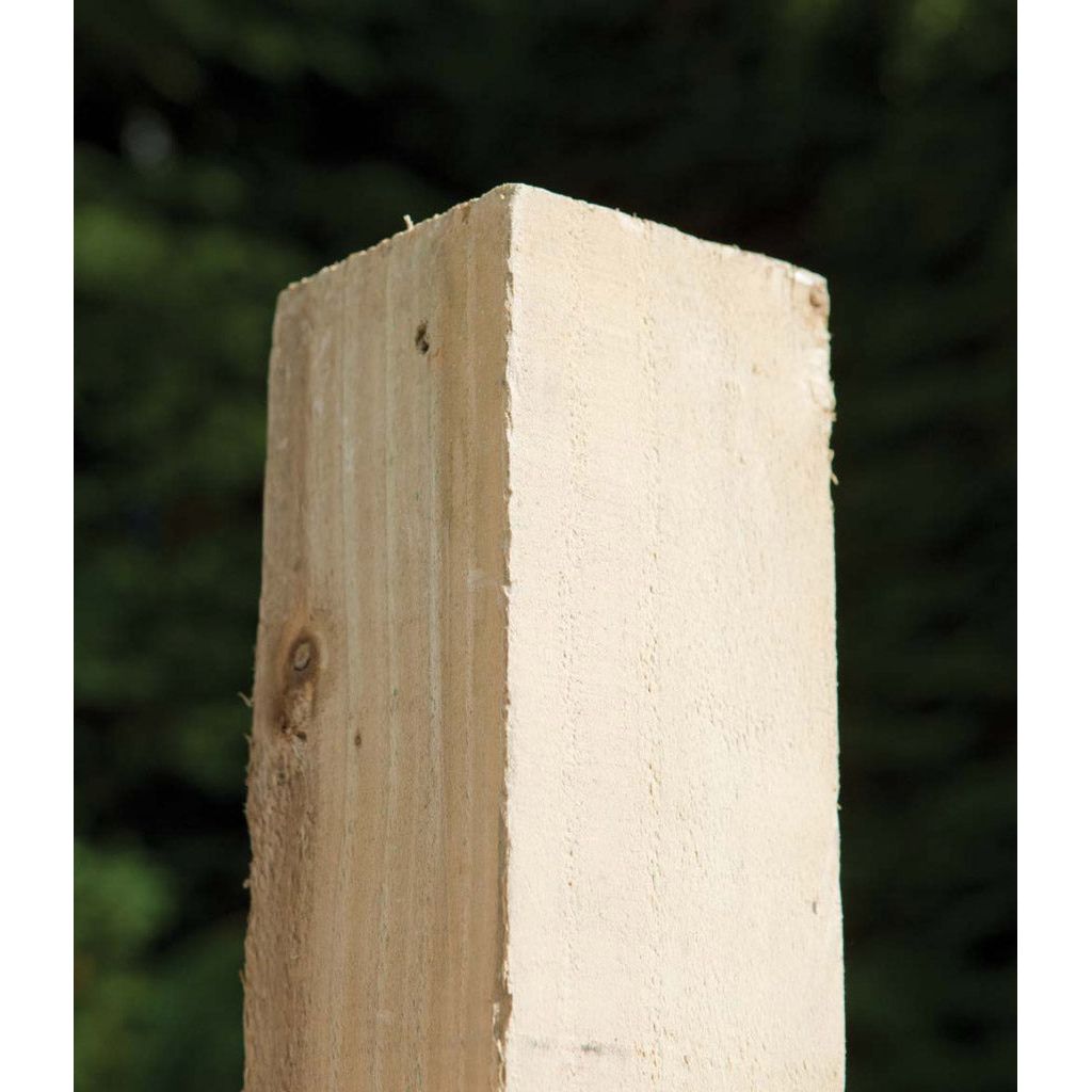 RMPP Pressure Treated Fence Post 75mm x 75mm x 2.4m