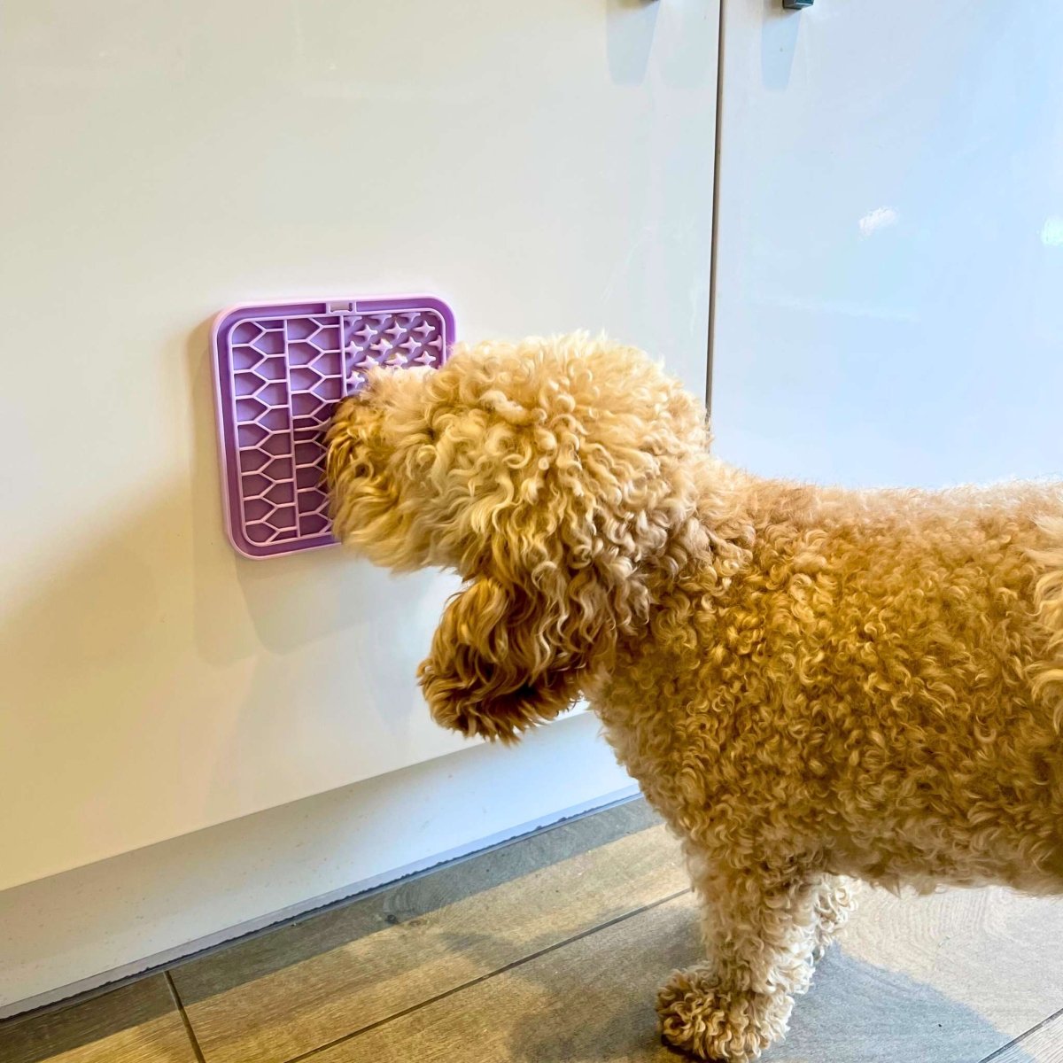 Dog Lick Mat - Lilac