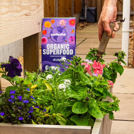 Superfood Alimentaire Biologique Ecofectif Granulés Toutes Plantes