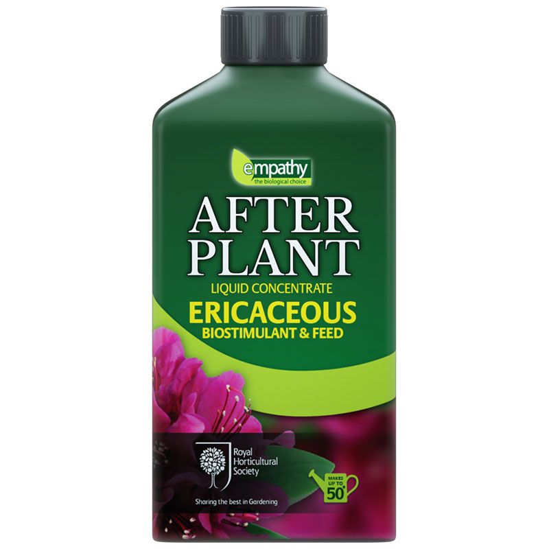 Empatía Después De La Planta Ericácea