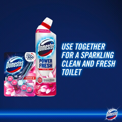 Domestos Power Fresh Toilet Gel 750ml