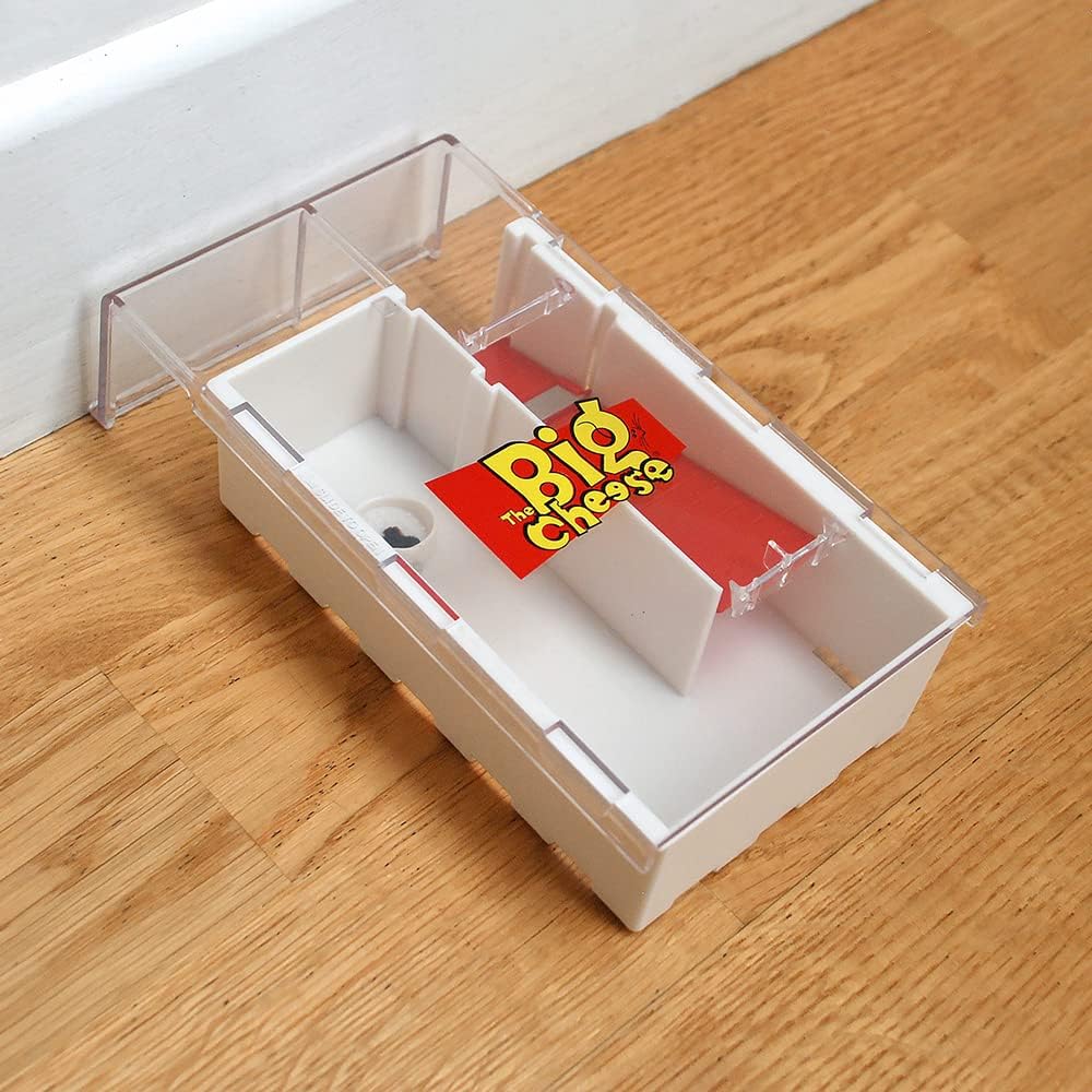 The Big Cheese Multi-Catch Mouse Trap
