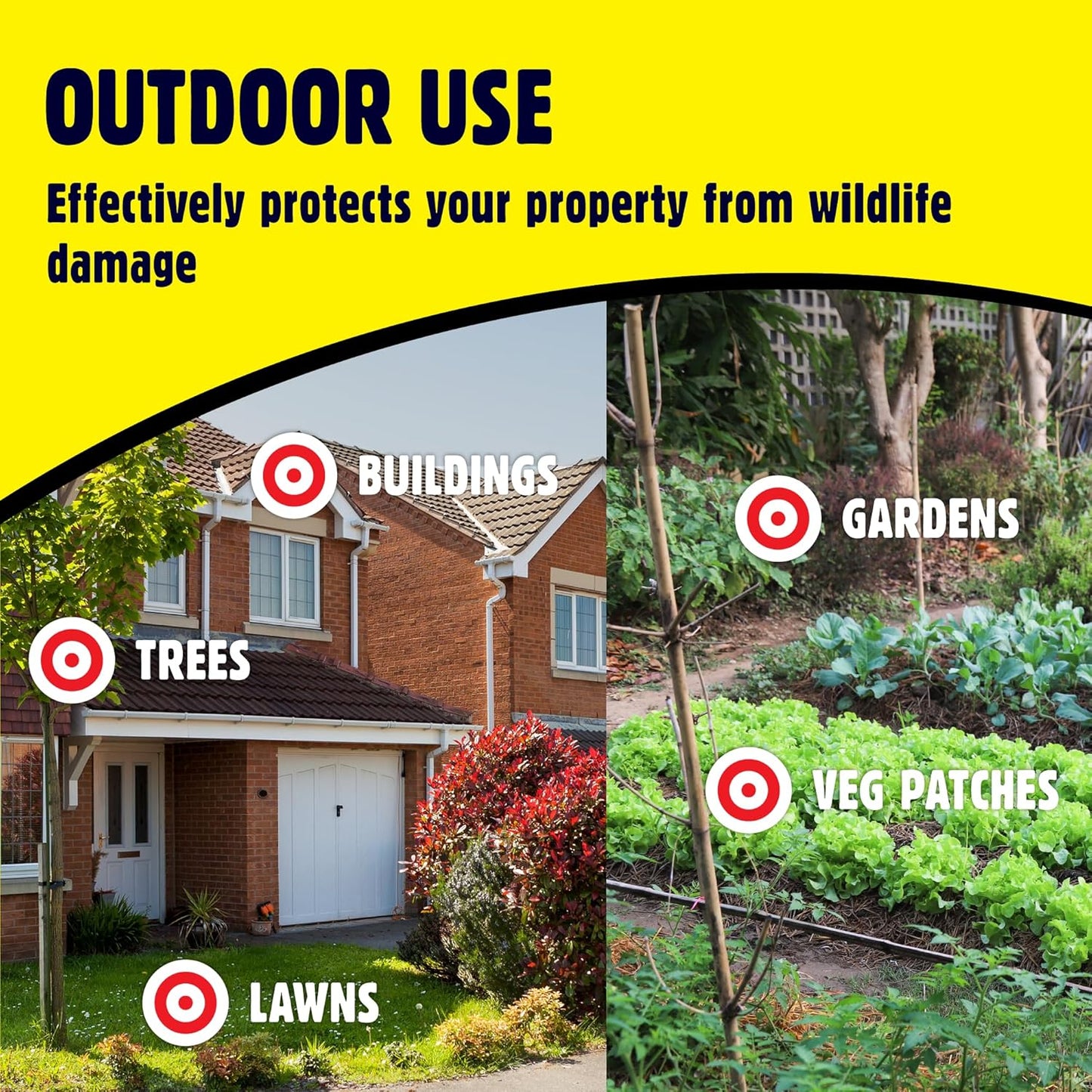 The Big Cheese Flying Falcon