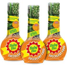 Baby Bio Cactus Food