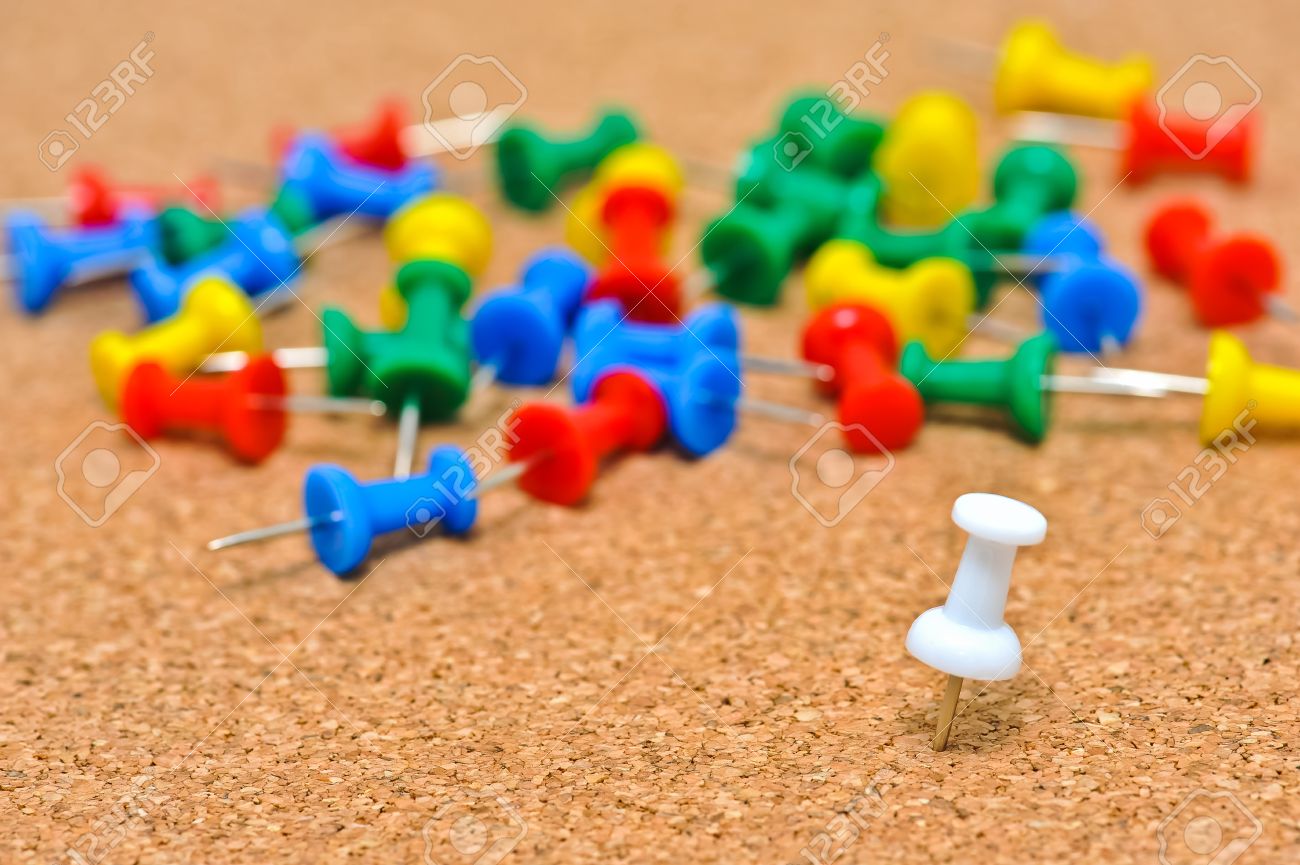 Punaises Anker dans la baignoire