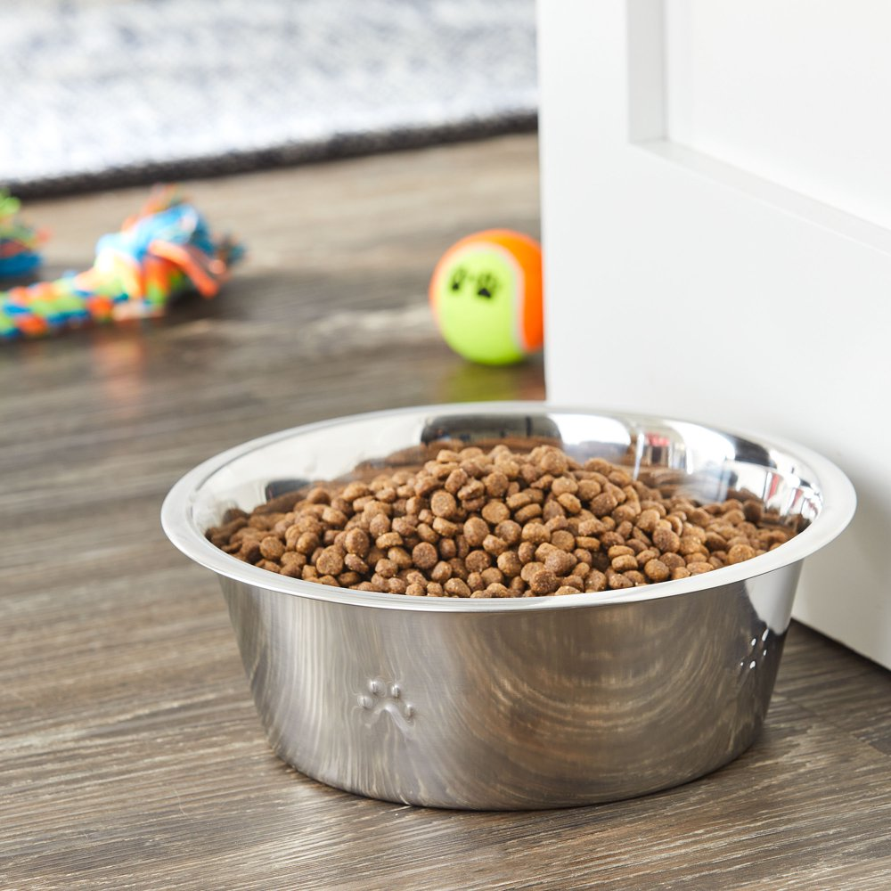 Munch & Crunch Metal Pet Bowl