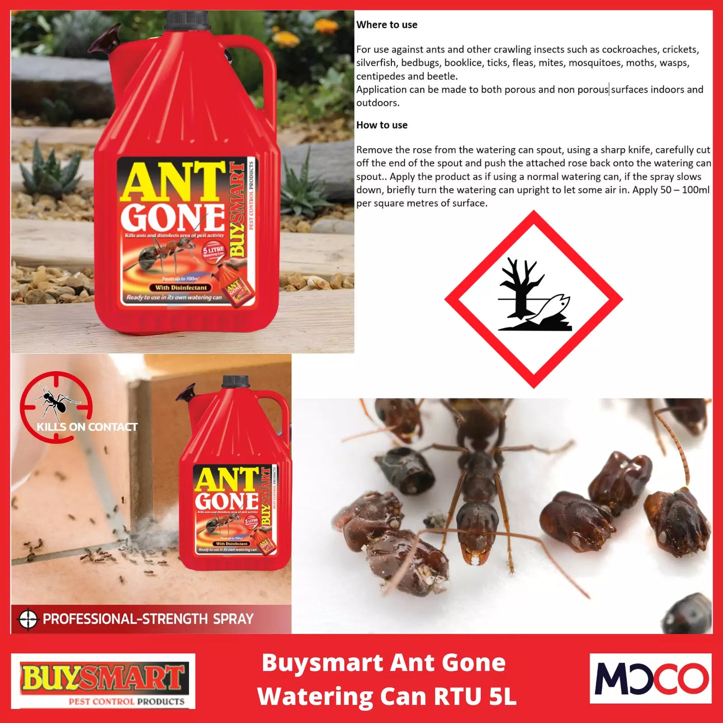 Buysmart Ant Gone Ant Killer 5L Jerrycan