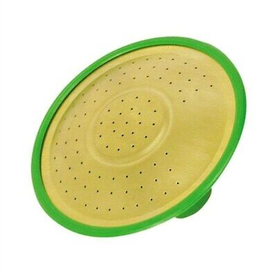 Fine As Rain General Purpose Rose