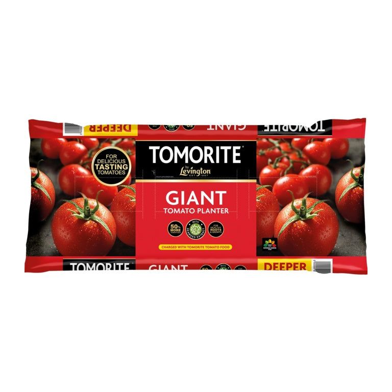 Levington Tomorite Giant Planter