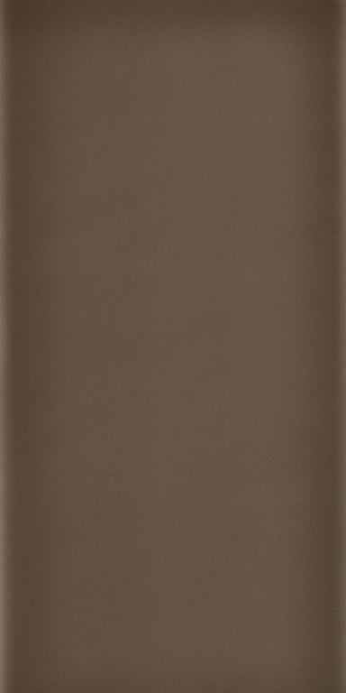 Johnson Tiles Gloss Wall Tiles 200 x 100mm 1m2