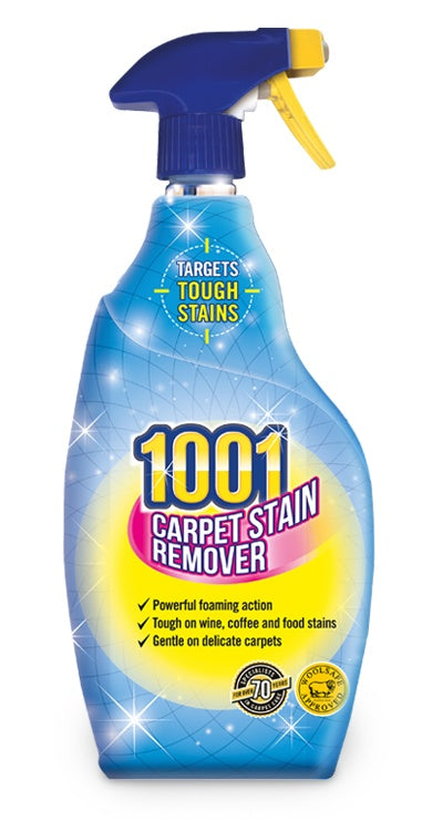 1001 Carpet Stain Remover