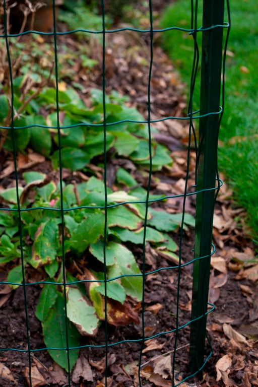 Apollo Fencing Stakes