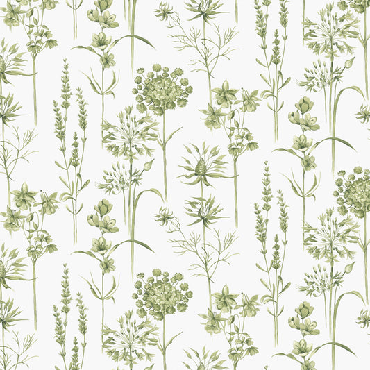 Graham & Brown Botanical Wildflowers Green Wallpaper (117850)