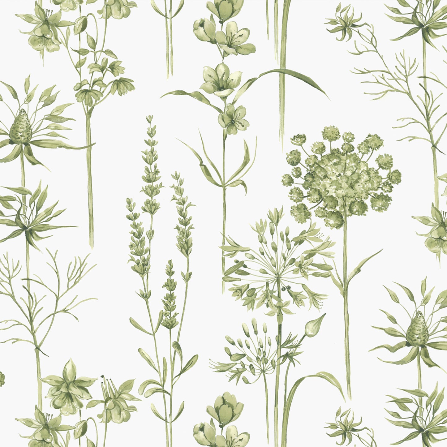 Graham & Brown Botanical Wildflowers Wallpaper